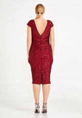 Red Quarter Sleeve Sequence Pinstripe Fitted Dress