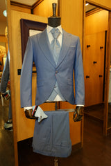 Light blue avanti Milano hybrid