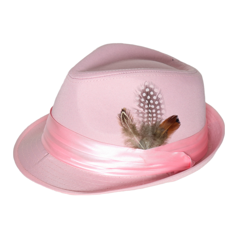 Bently Light Pink Vincent Collection Hat